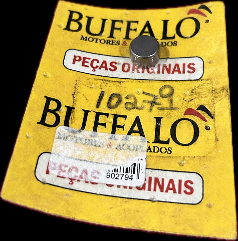 Pastilha Válvulas / BFG(E) 15/16.0 BUFFALO